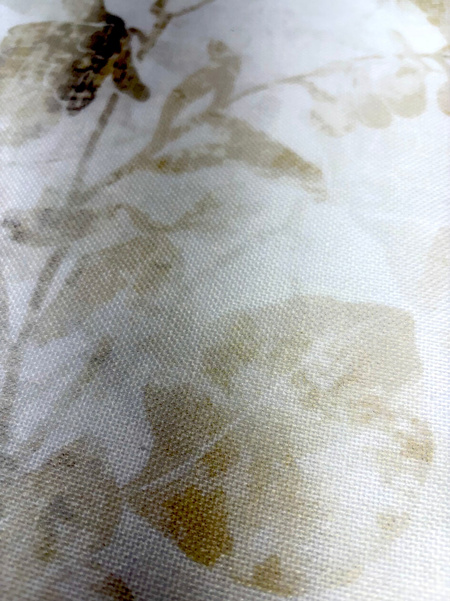 Casal Brezza - Seppia